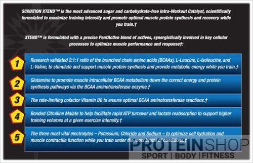 Scivation Xtend BCAA 410gr 